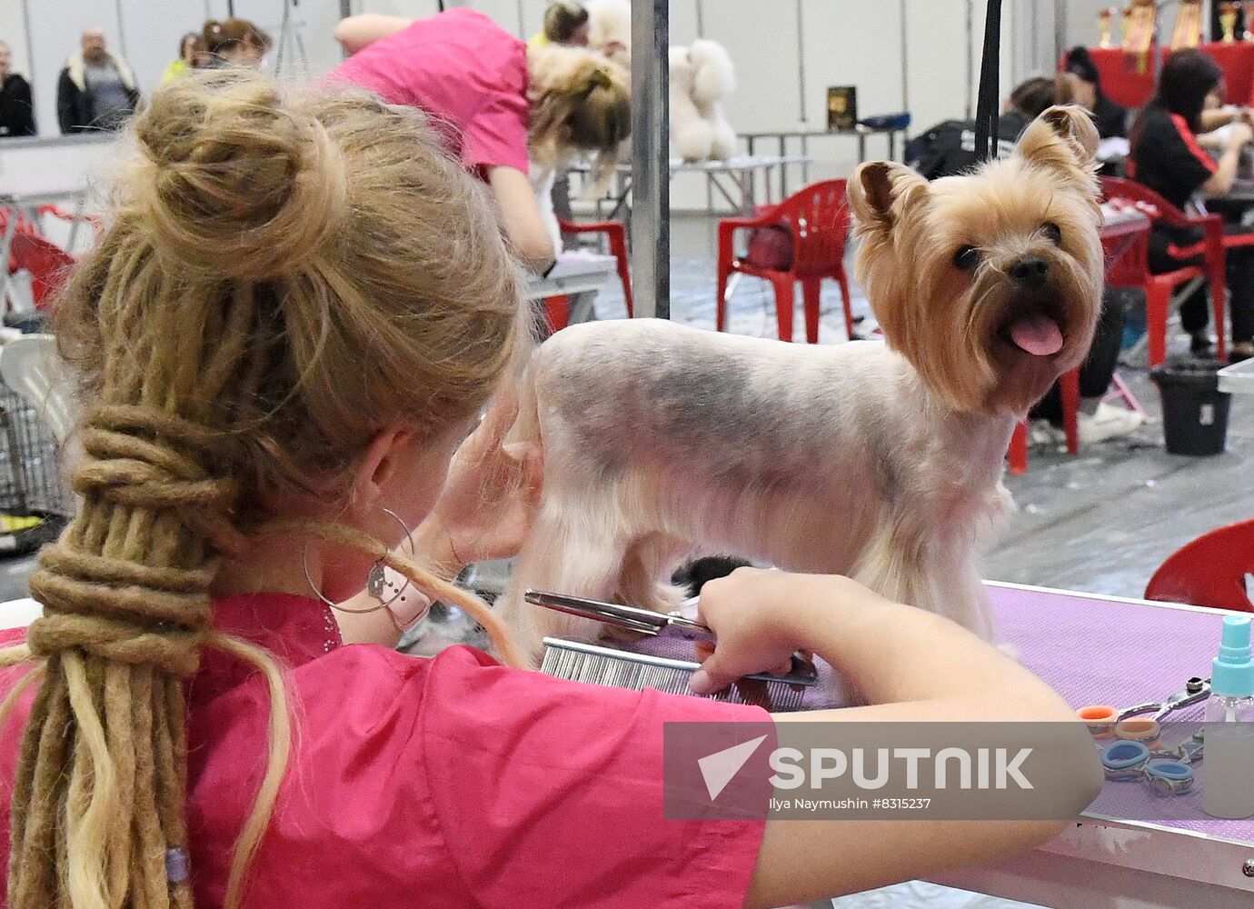 Russia Pet Festival