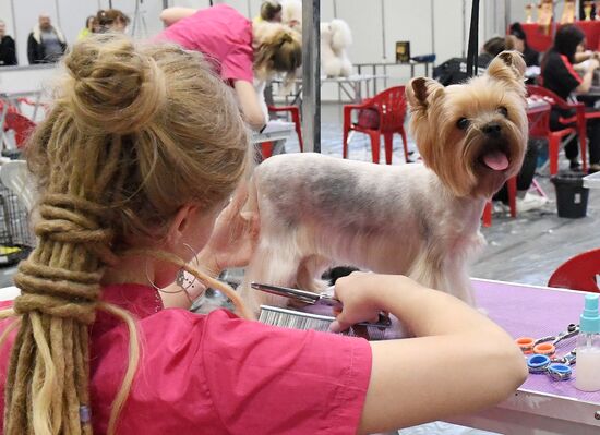 Russia Pet Festival