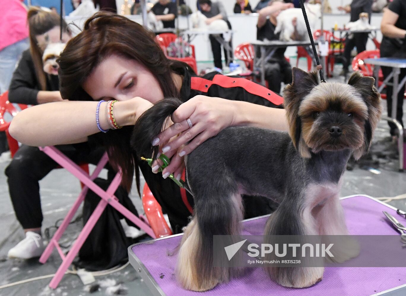 Russia Pet Festival