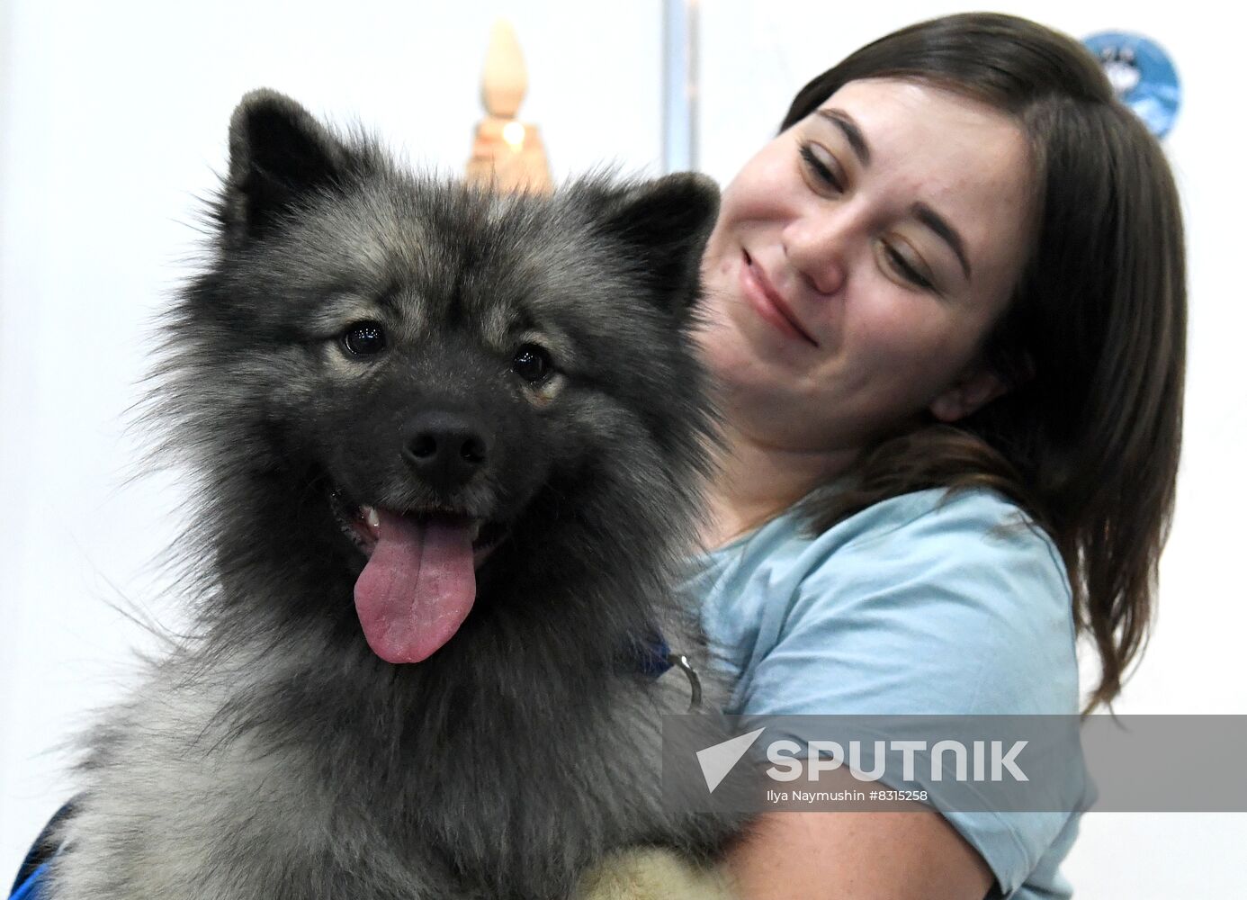 Russia Pet Festival