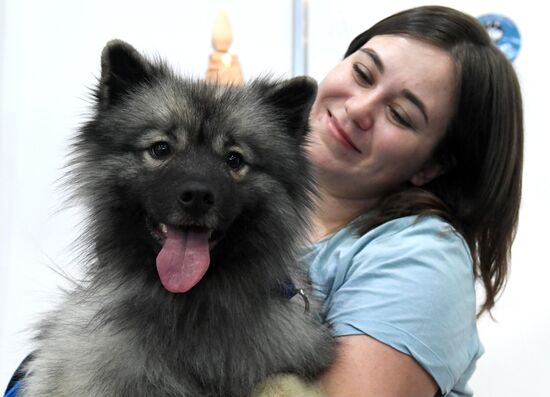 Russia Pet Festival