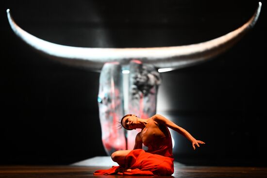 Russia Ballet Labyrinth Project