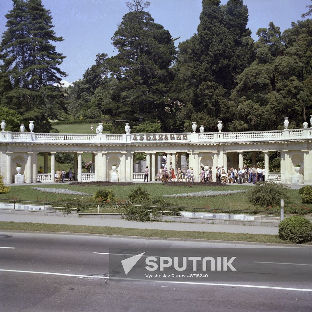 Sochi Arboretum