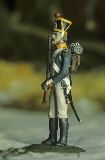 Military historical miniature