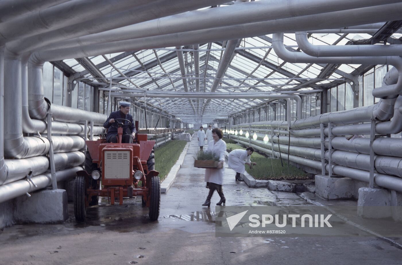 Vesenny (Spring) State Farm in Tatarstan