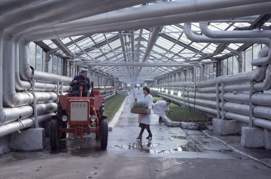 Vesenny (Spring) State Farm in Tatarstan