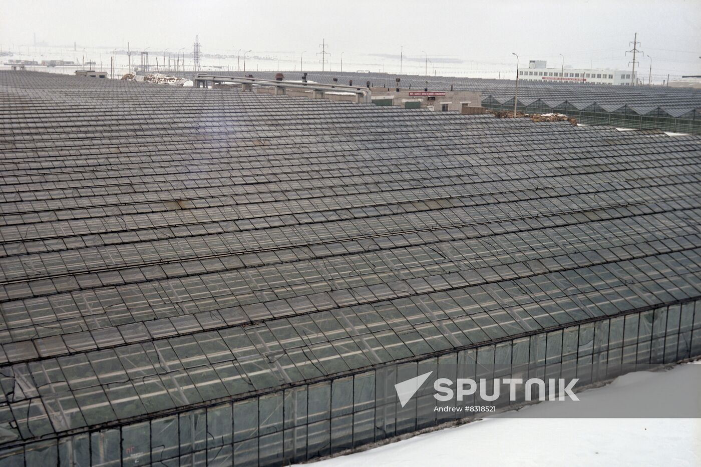 Vesenny (Spring) State Farm in Tatarstan