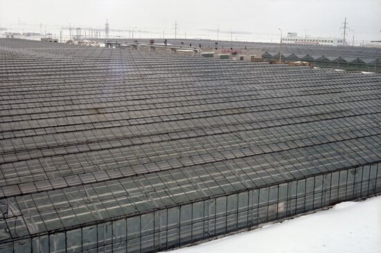 Vesenny (Spring) State Farm in Tatarstan