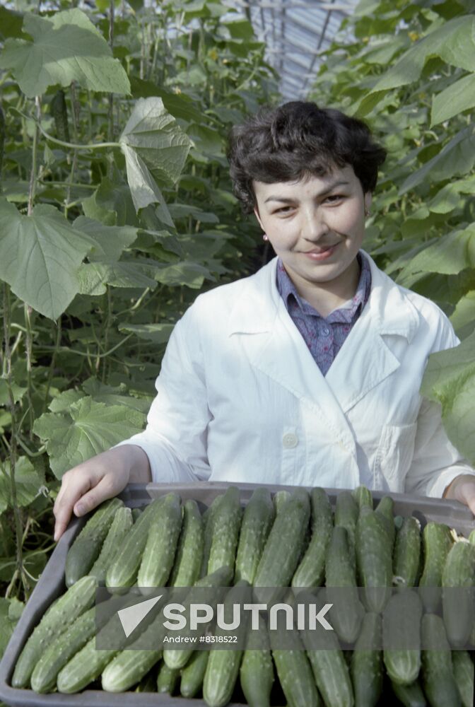 Vesenny (Spring) State Farm in Tatarstan