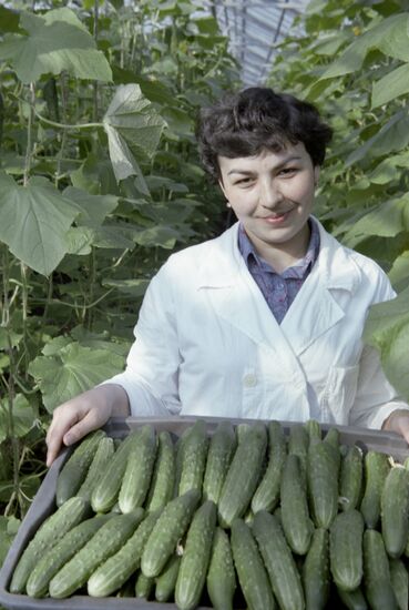 Vesenny (Spring) State Farm in Tatarstan