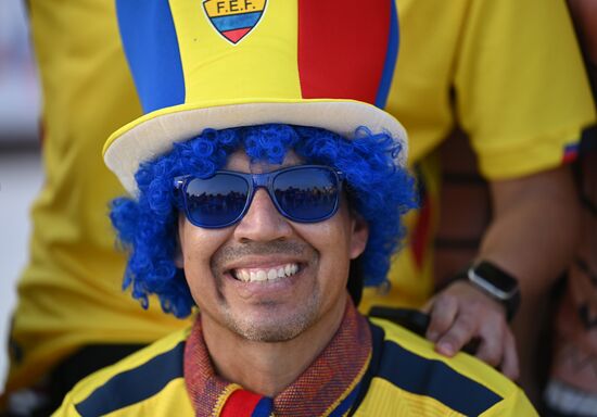 Qatar Soccer World Cup Fans