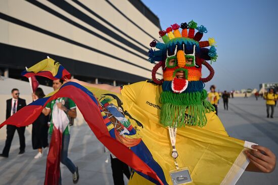 Qatar Soccer World Cup Fans