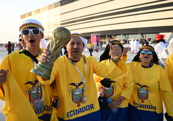 Qatar Soccer World Cup Fans