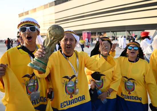Qatar Soccer World Cup Fans