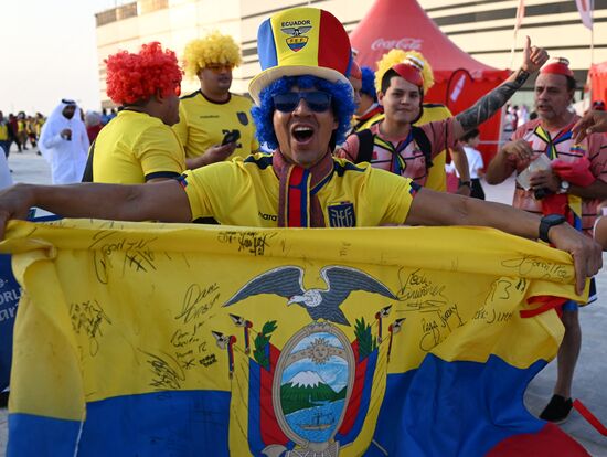 Qatar Soccer World Cup Fans