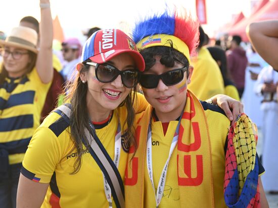 Qatar Soccer World Cup Fans