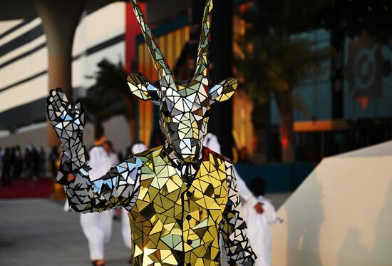 Qatar Soccer World Cup Fans