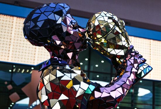 Qatar Soccer World Cup Fans