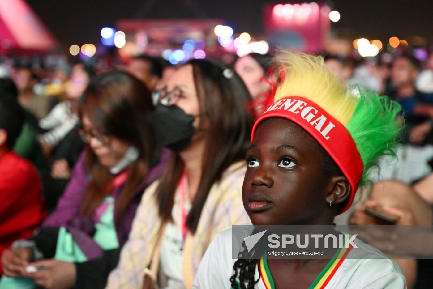 Qatar Soccer World Cup Fans