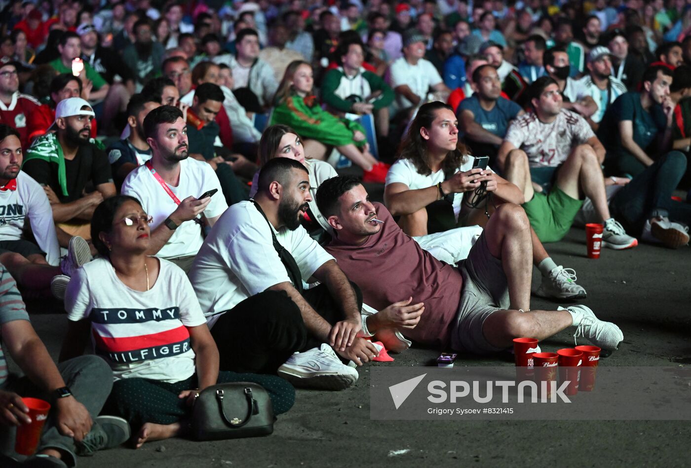 Qatar Soccer World Cup Fans