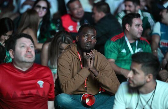 Qatar Soccer World Cup Fans