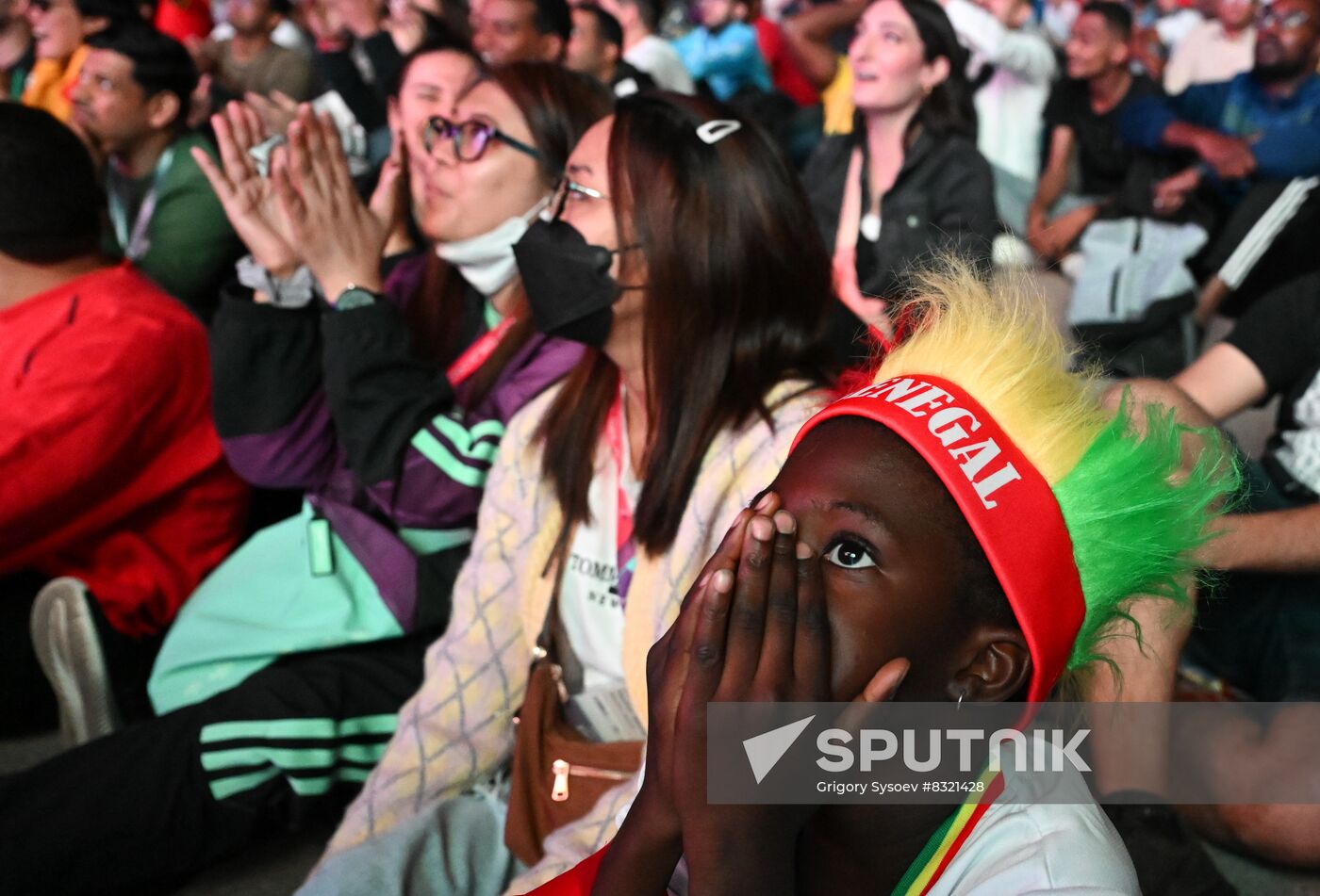 Qatar Soccer World Cup Fans