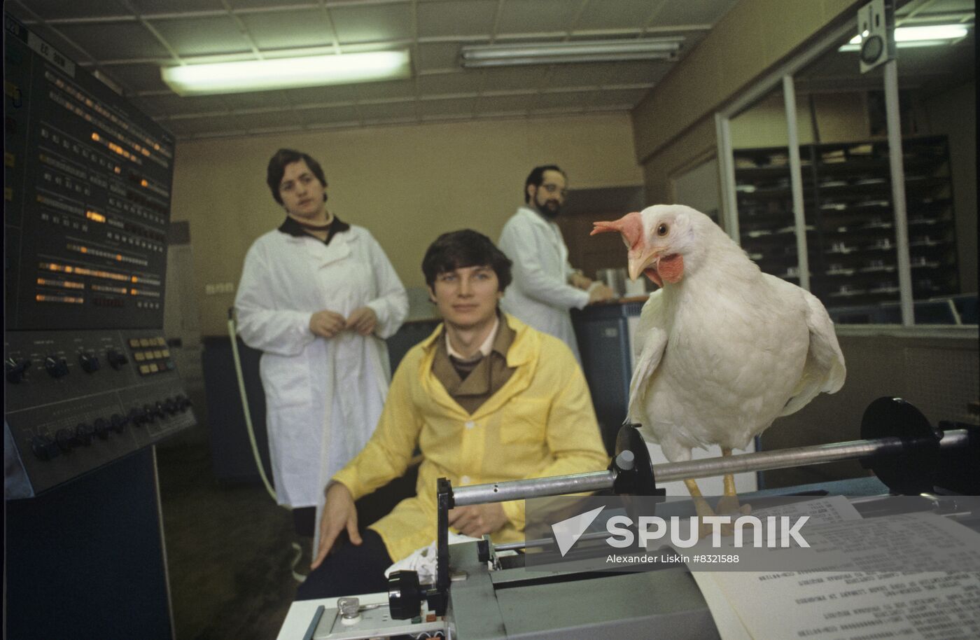 Experimental breeding farm at Poultry Research Institute
