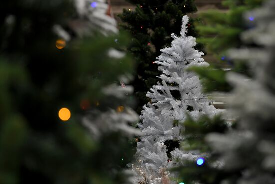Russia New Year Festive Season Preparations