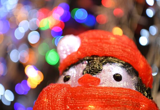 Russia New Year Festive Season Preparations