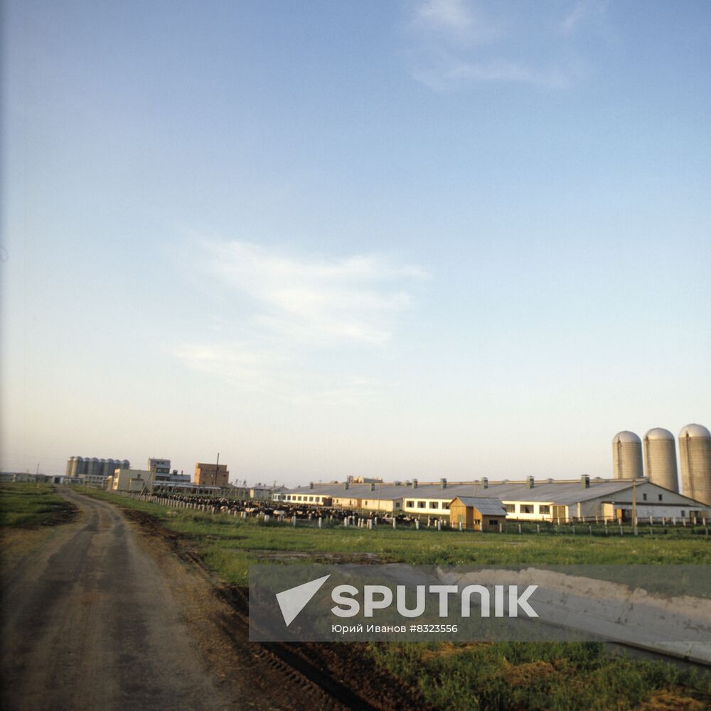 Land reclamation works in Polesye, Belarus