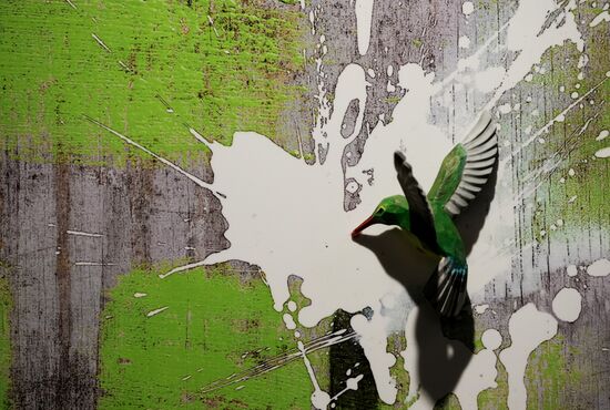Russia Art Banksy Work Installation