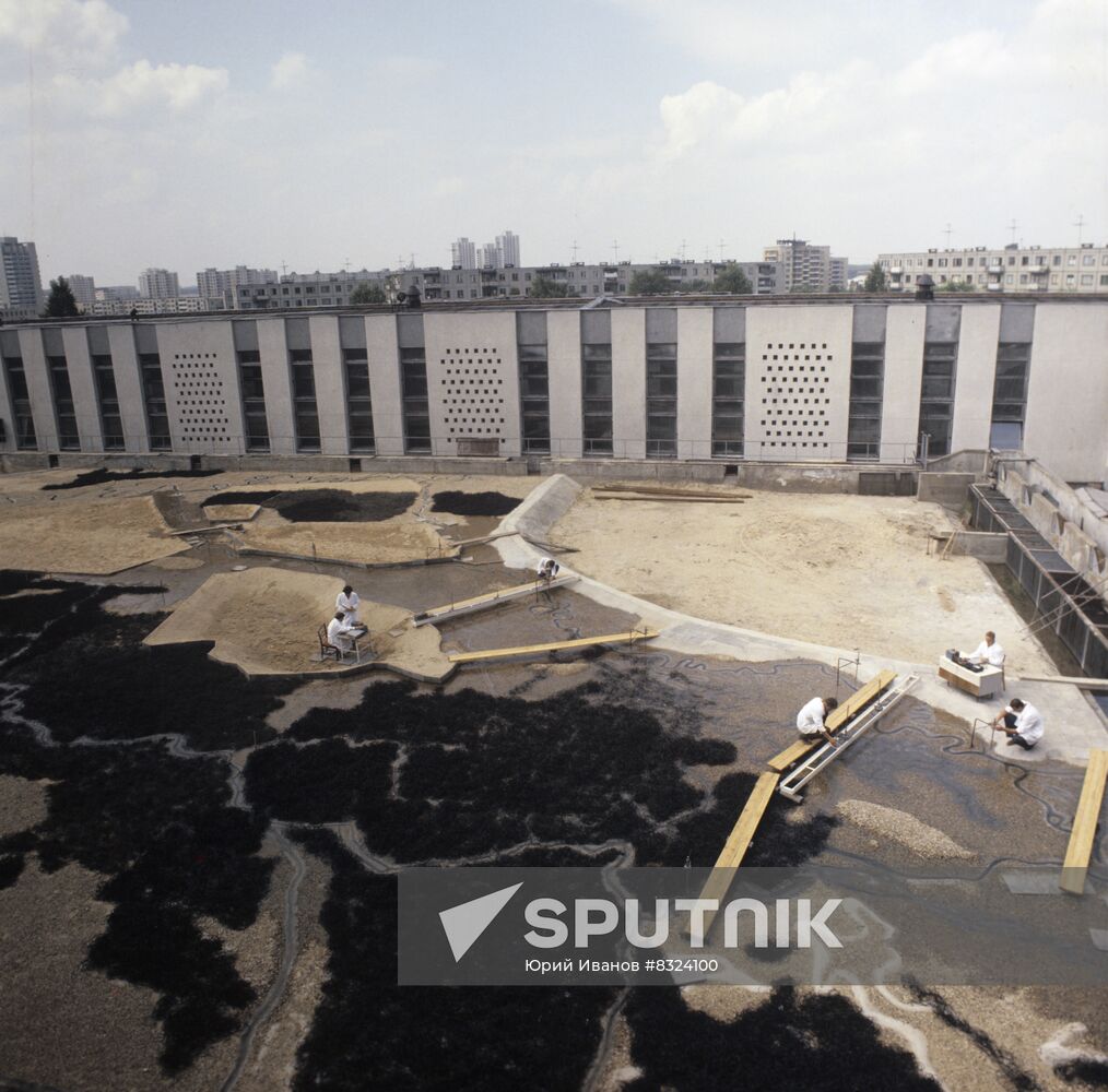 Land reclamation works in Polesye, Belarus