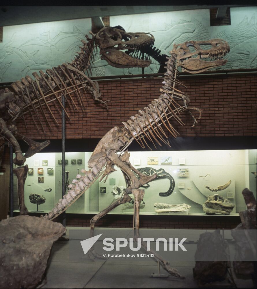 Paleonthology Museum in Moscow