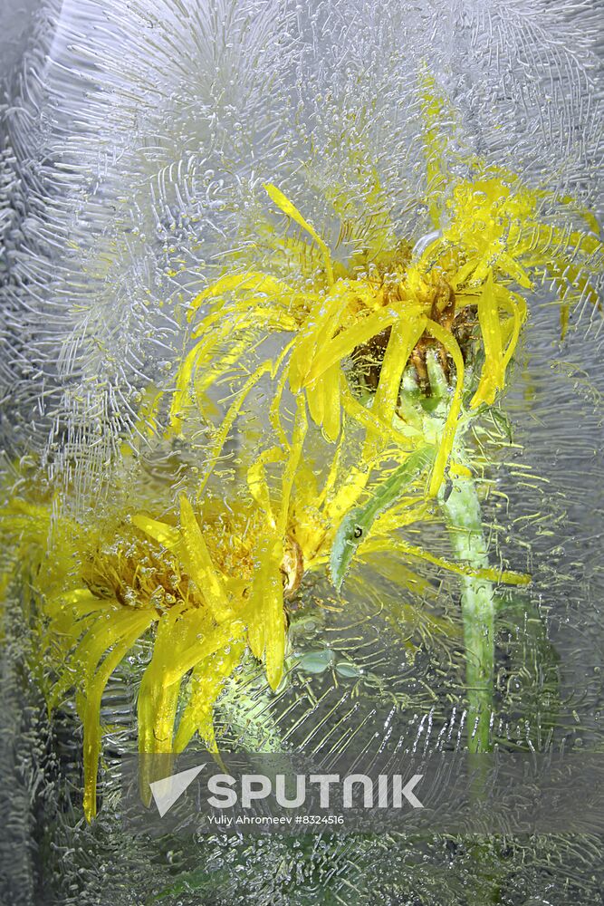 High-resolution photos of frozen water colors