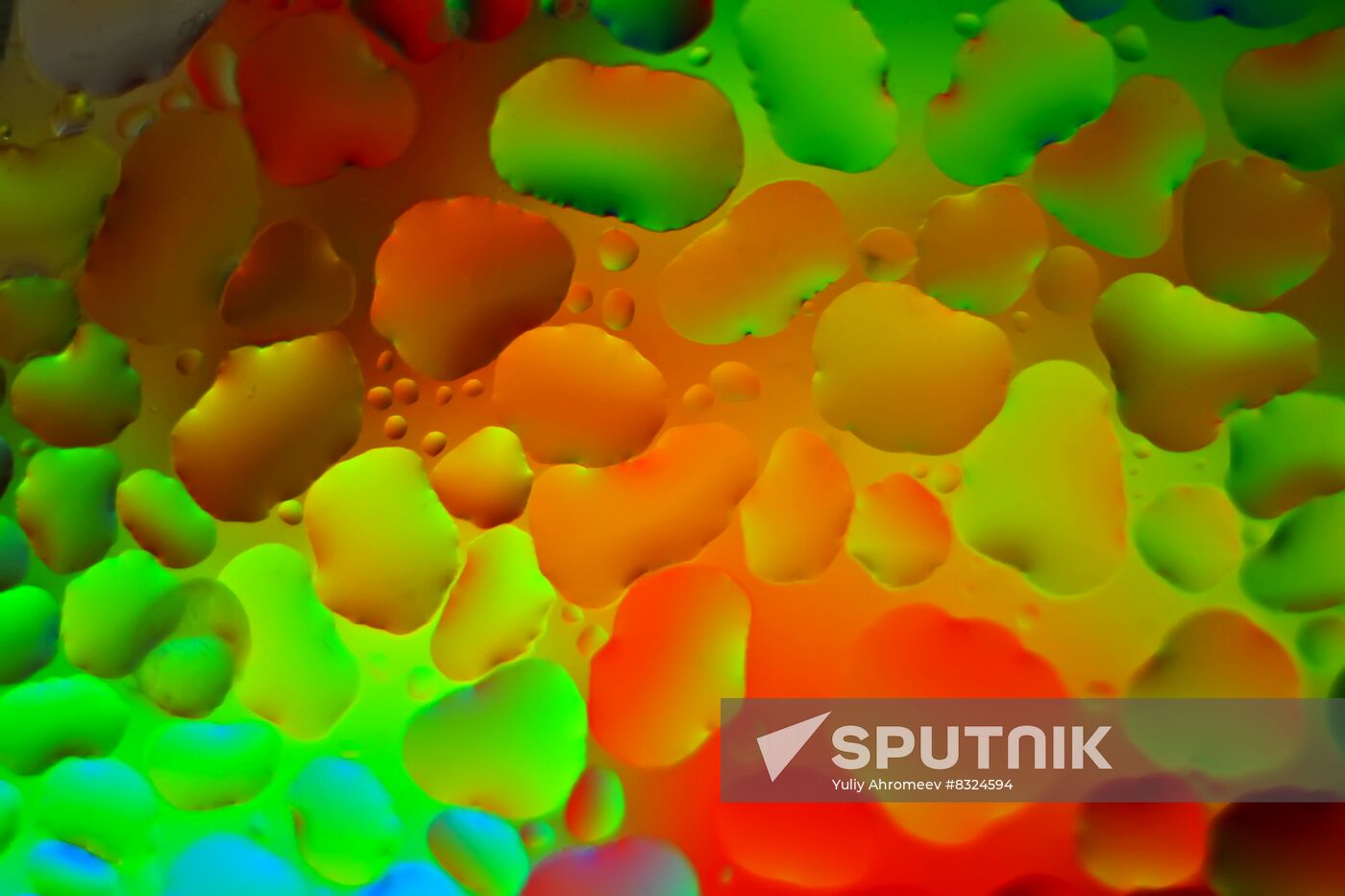 High-resolution photos of condensed water drops on glass surface