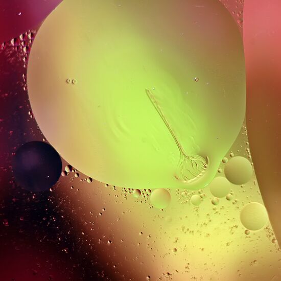 High-resolution photos of water and sunflower oil
