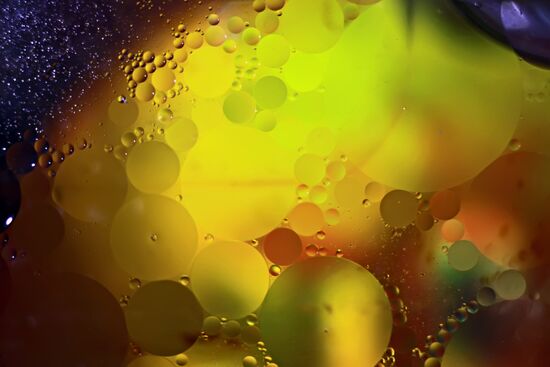Macrophotography of water and sunflower oil