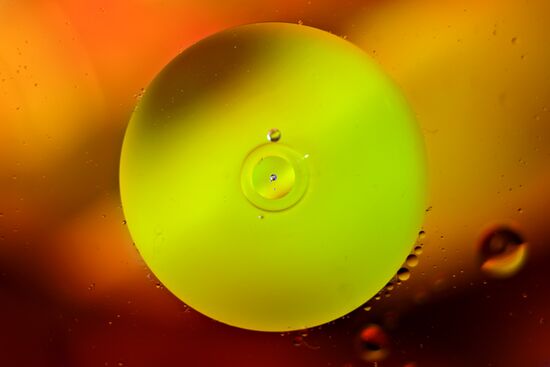 Macrophotography of water and sunflower oil