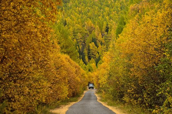 Road in woods in Republic of Tyva