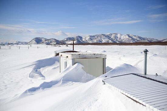 Surf camp in Kamchatka