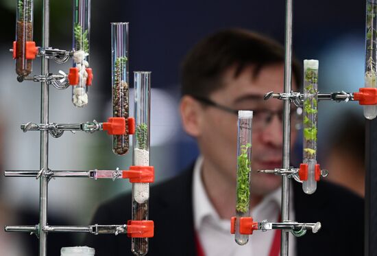 Work of 2nd Young Scientists Congress