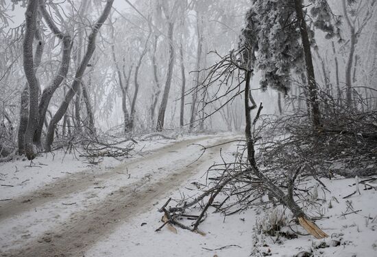 Russia Weather