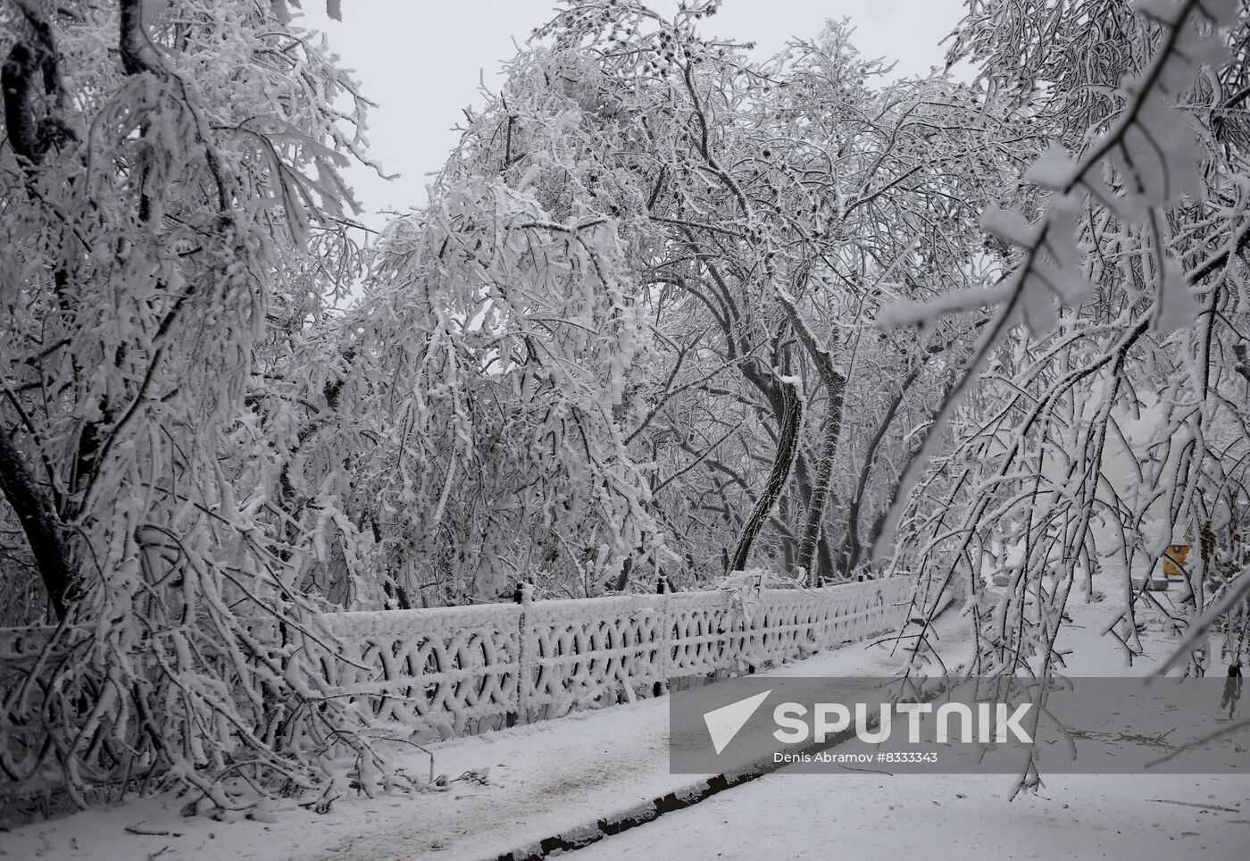 Russia Weather