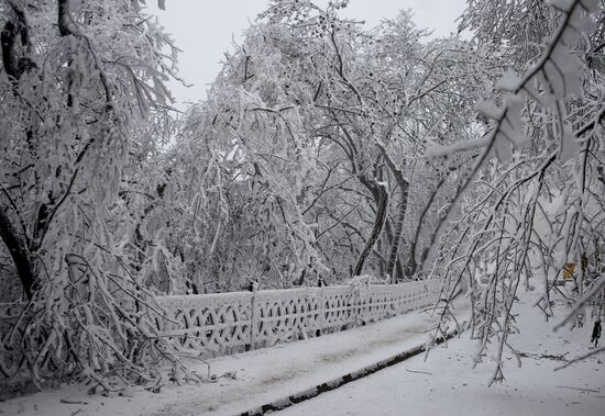 Russia Weather