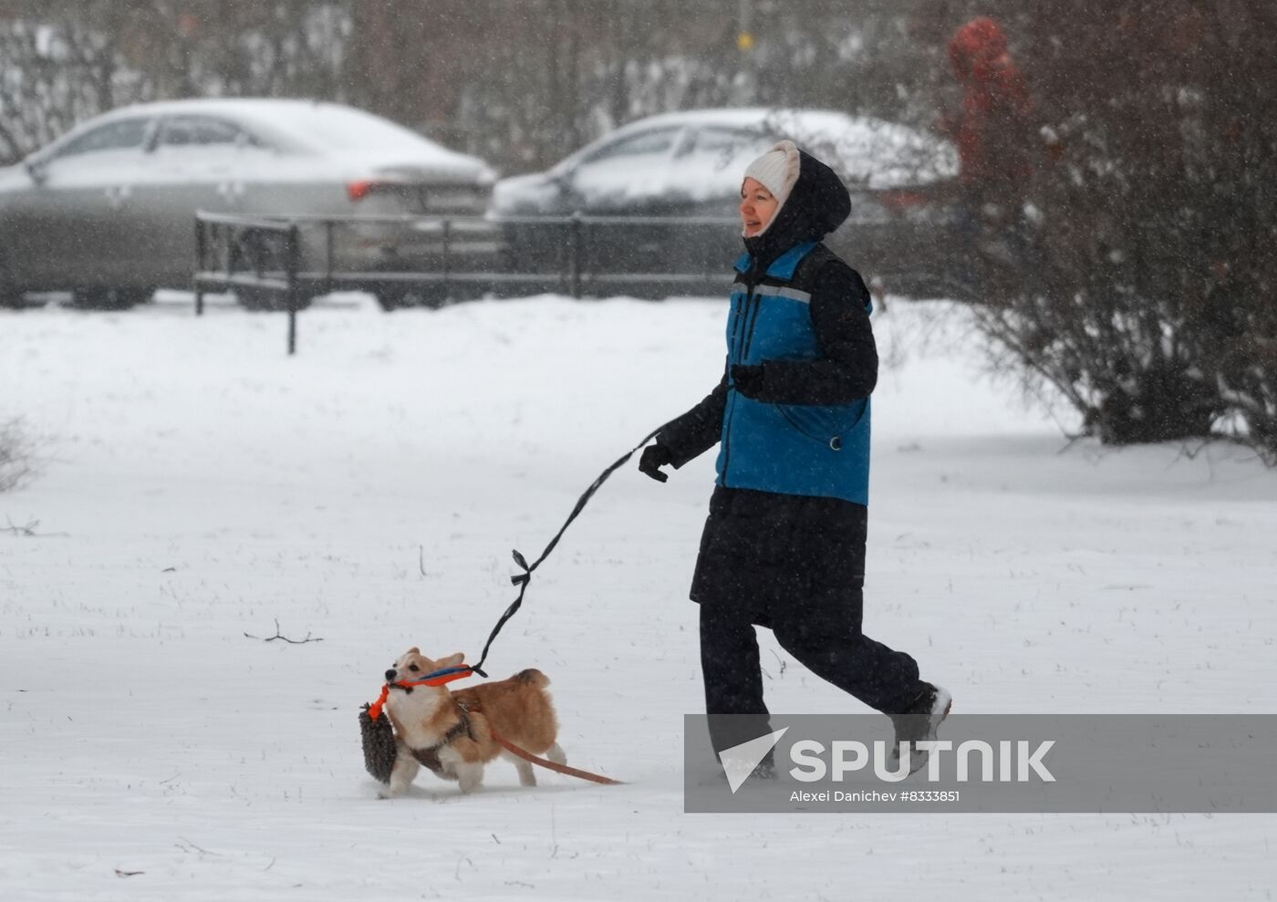 Russia Weather