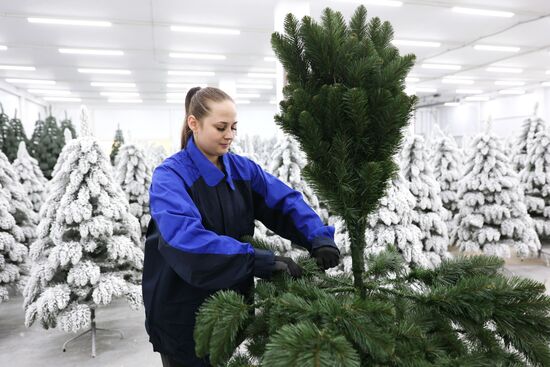 Russia New Year Season Artificial Trees
