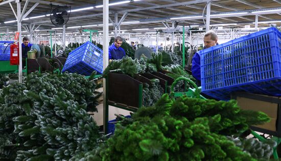 Russia New Year Season Artificial Trees