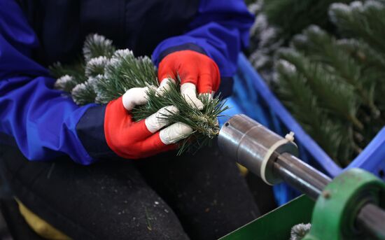 Russia New Year Season Artificial Trees