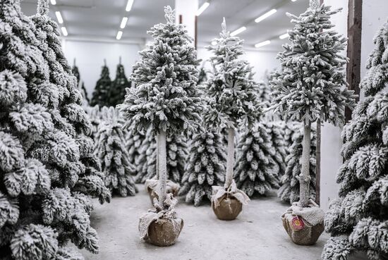 Russia New Year Season Artificial Trees