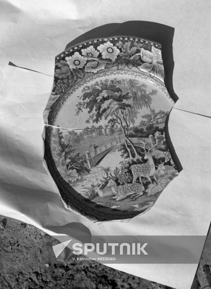 Archaeological excavations in Zalesye